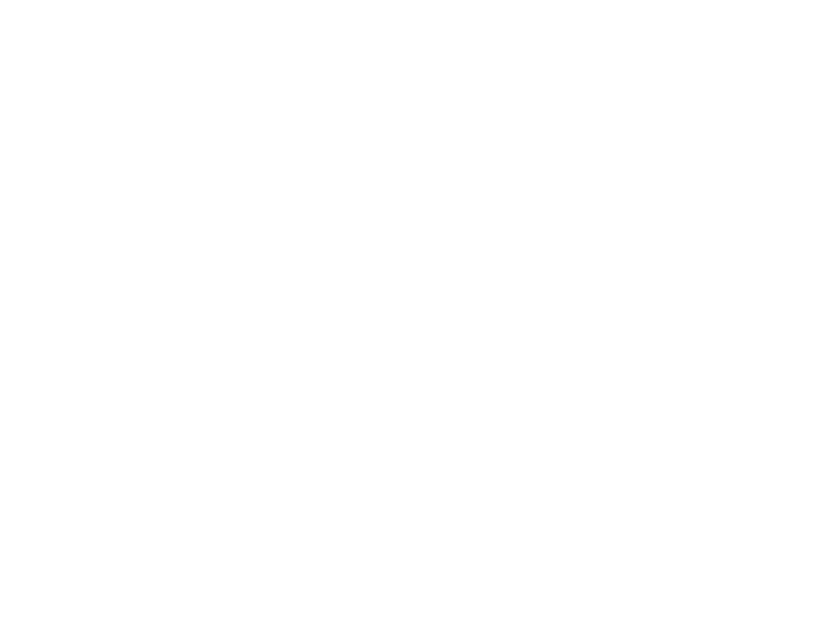2025 Autumn collection 秋のおすすめ特集