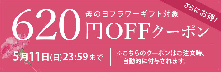 母の日スペシャルクーポン