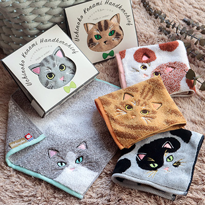 今治タオル うちのニャンコ 毛並みシリーズ