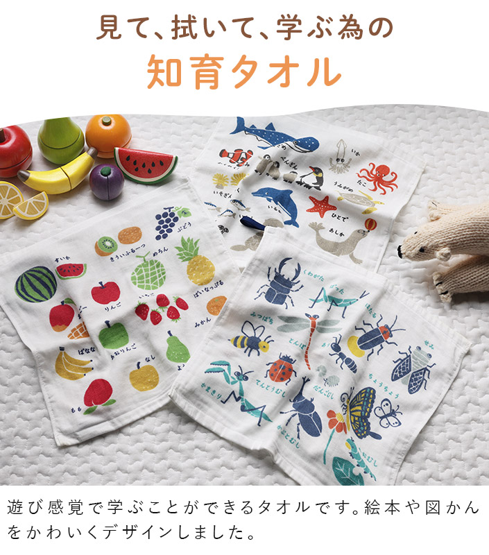 見て、拭いて、学ぶための知育タオル