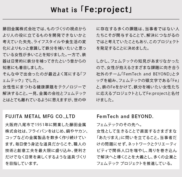 Fe:projectについて