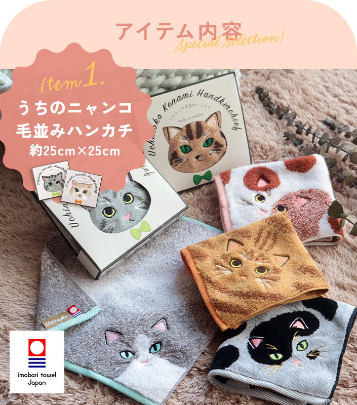 今治タオル うちのニャンコ 毛並みハンカチ＋フェイスタオル＆猫せんべい