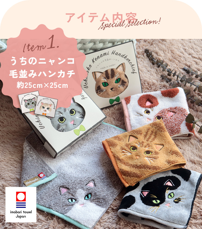 今治タオル うちのニャンコ 毛並みハンカチ＋フェイスタオル＆猫せんべい
