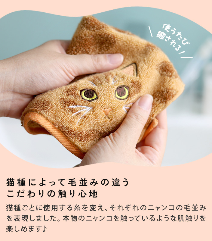 今治タオル うちのニャンコ 毛並みハンカチ＋フェイスタオル＆猫せんべい