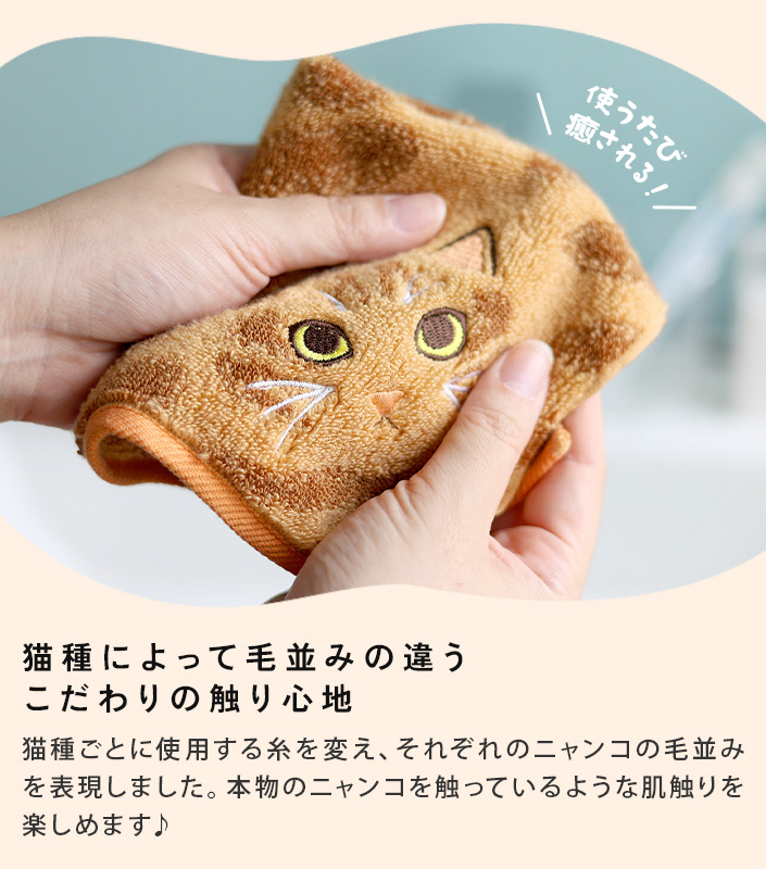 今治タオル うちのニャンコ 毛並みハンカチ＋フェイスタオル＆猫せんべい