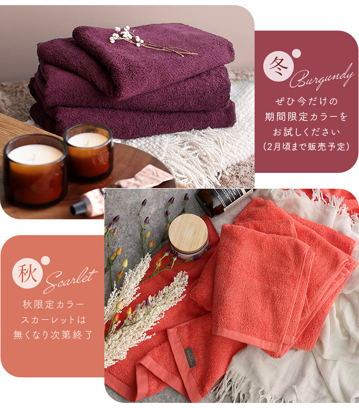 季節限定カラー