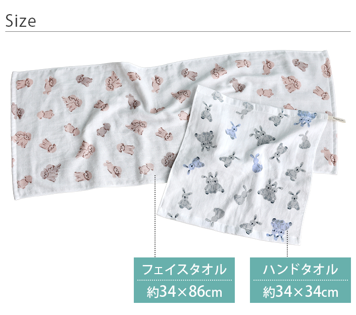 サイズ