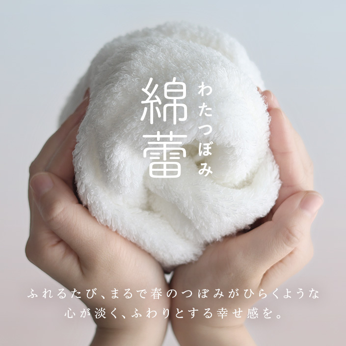 今治タオル わたつぼみ 綿蕾
